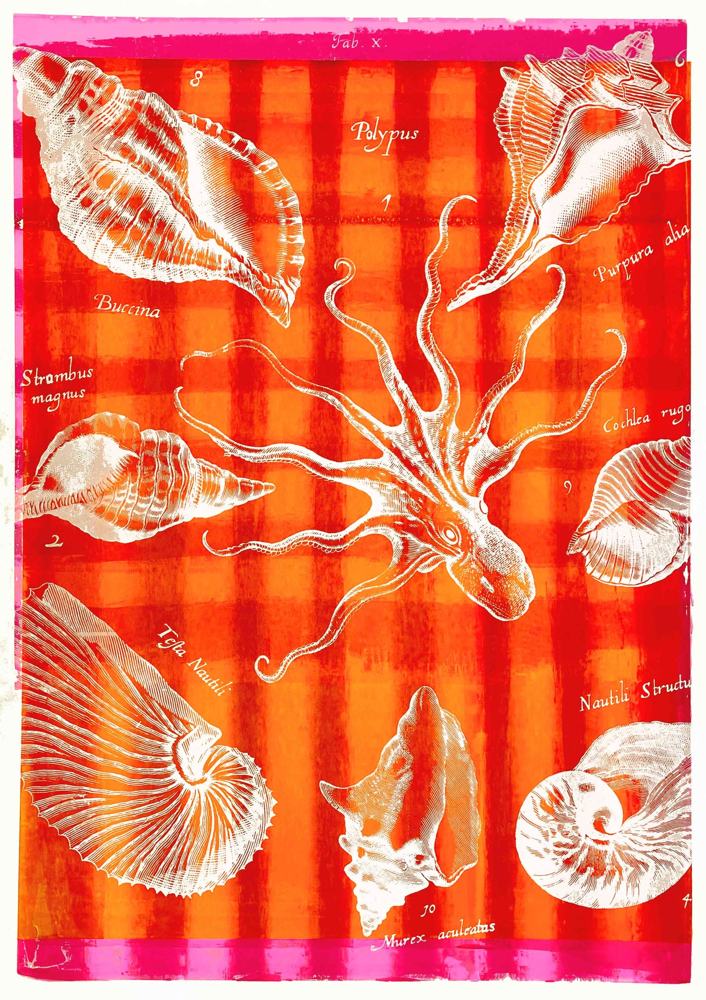 TABULA X (deep orange)