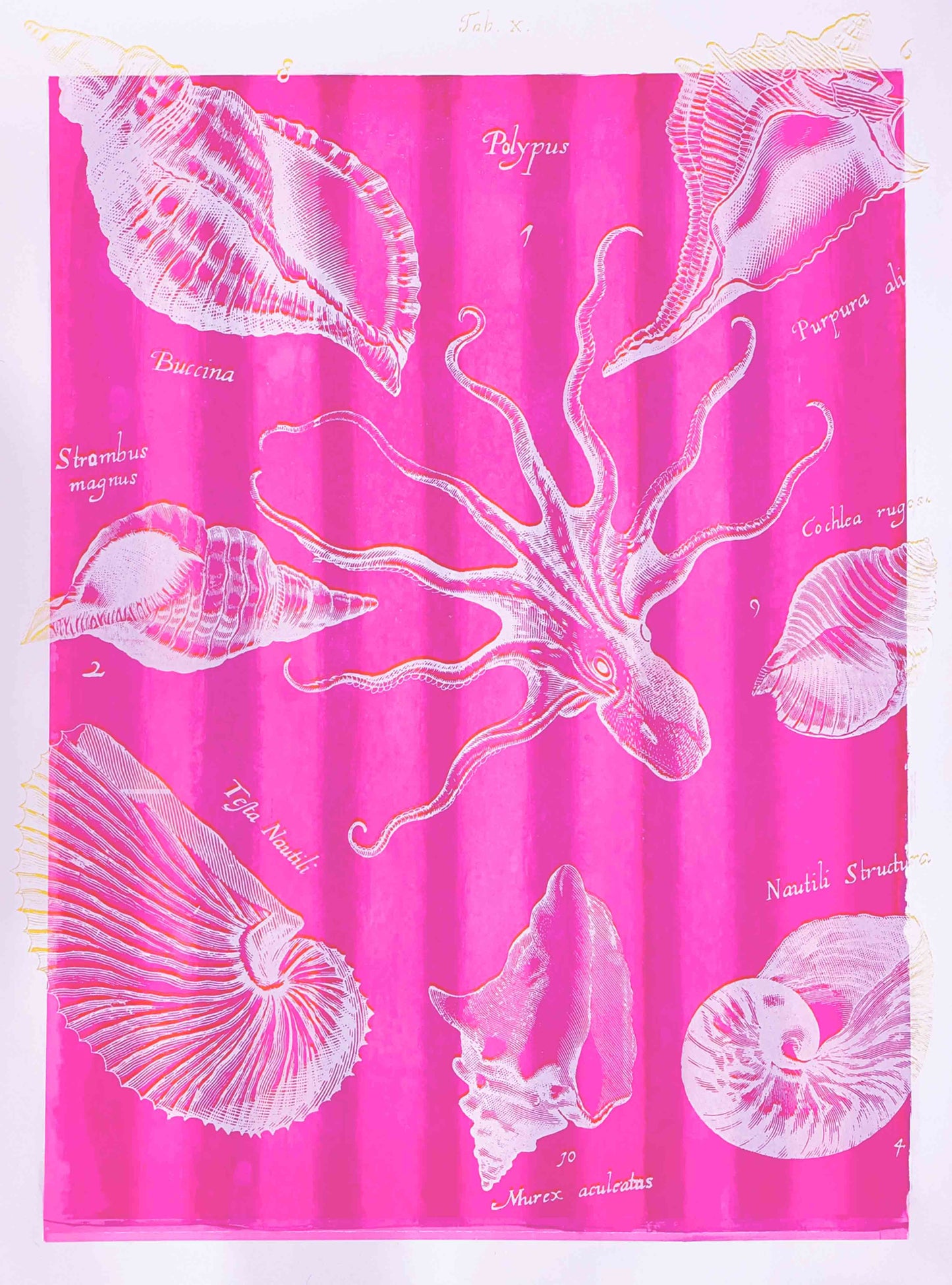 Tabula X (pink)